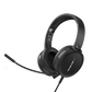 AVerMedia USB Headset - AH313