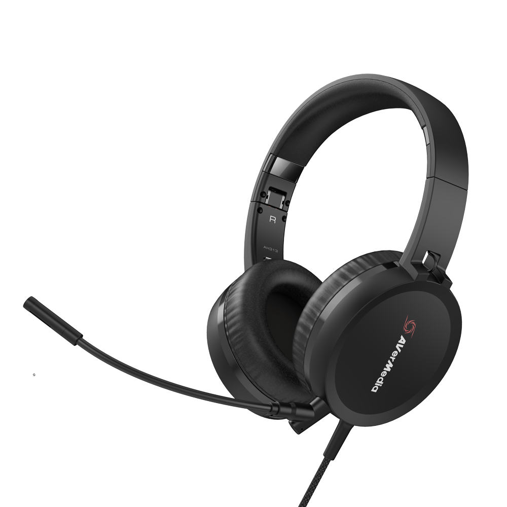 AVerMedia USB Headset - AH313