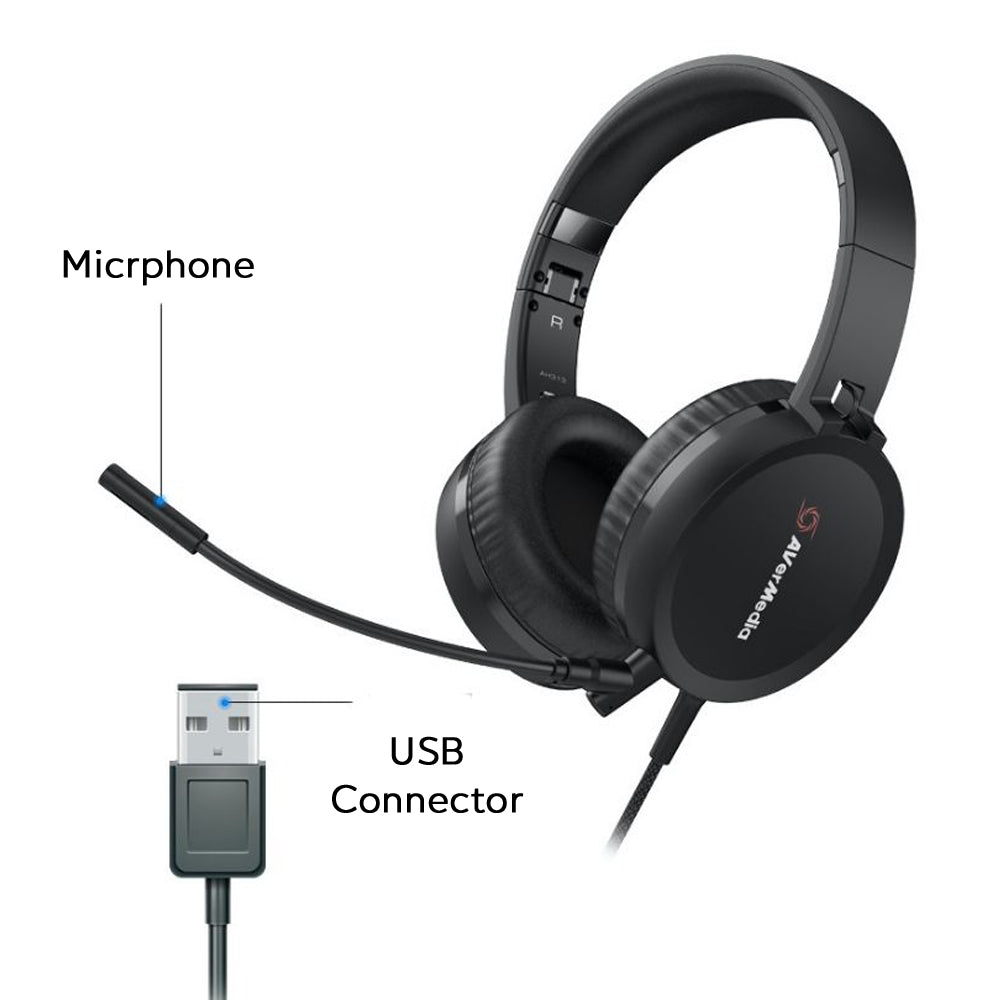 AVerMedia USB Headset - AH313