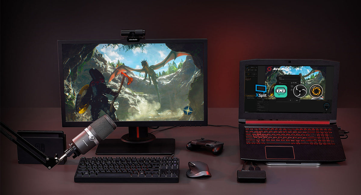 AVerMedia Live Streamer Duo BO311D - Webcam and Capture Card