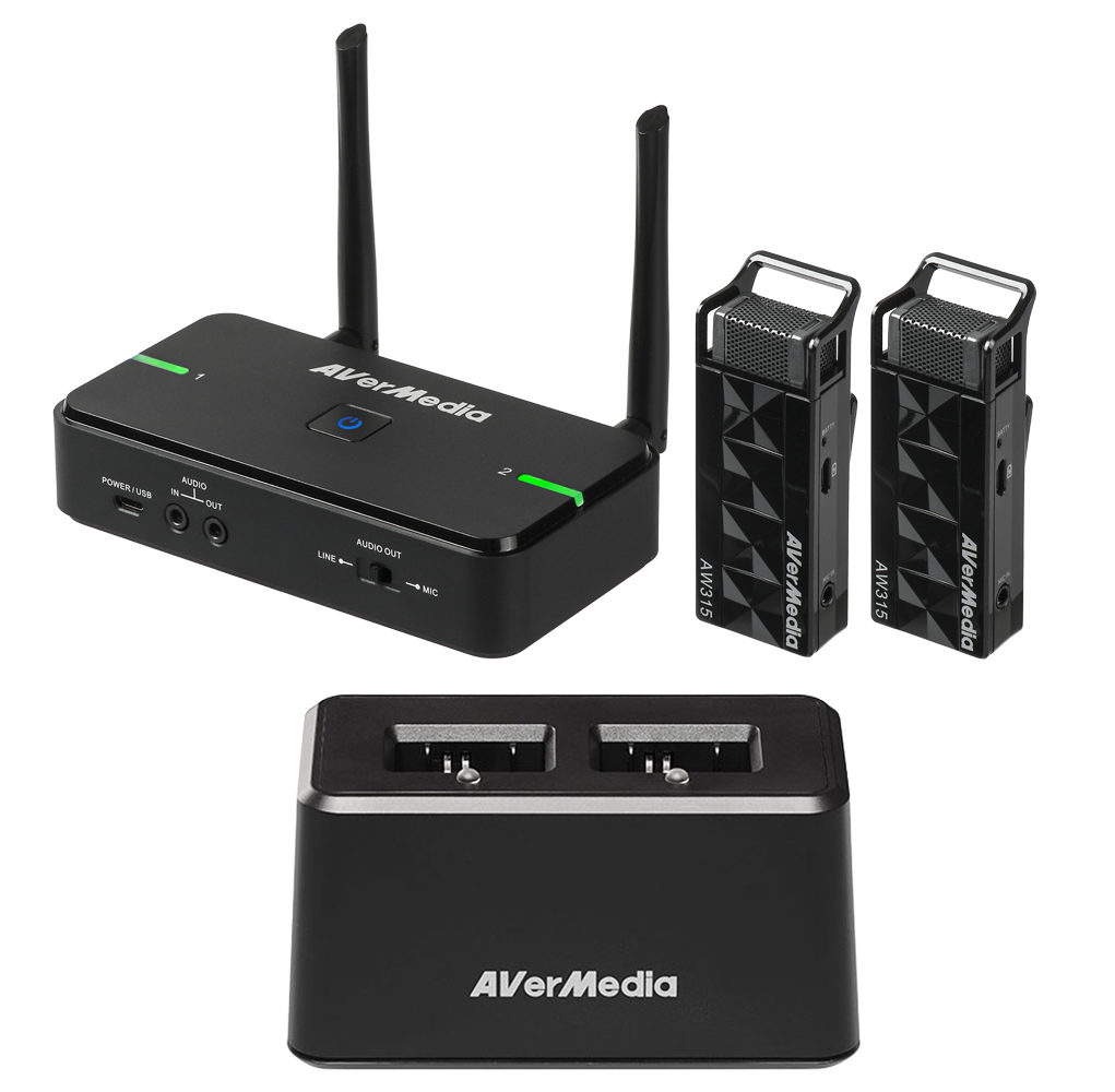 Avermedia Technologies AW315F-GS68C - Dual Wireless Teacher Microphone with  Soundbar and Wall Mounting Kit Package