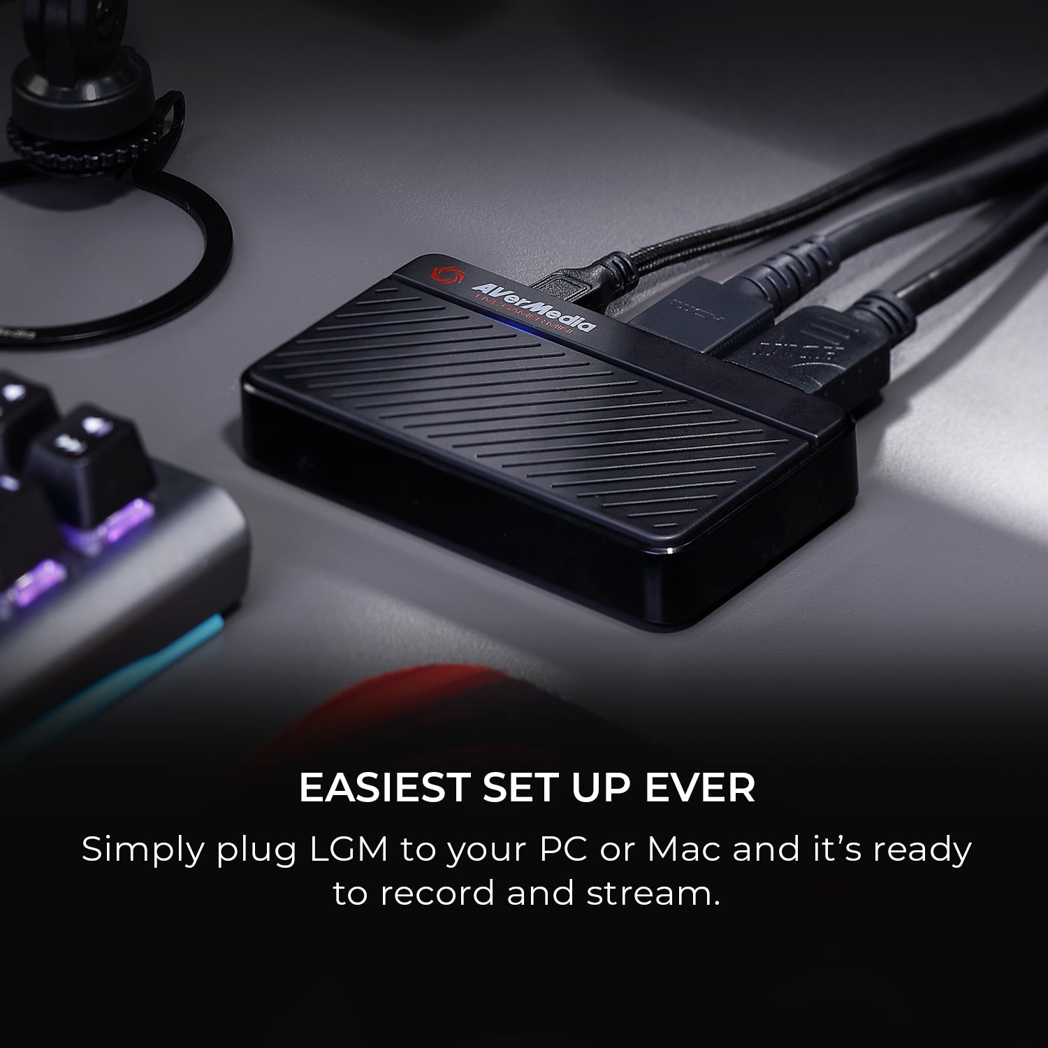 AVerMedia Live Gamer MINI ゲームキャプチャーボックス HDMI 