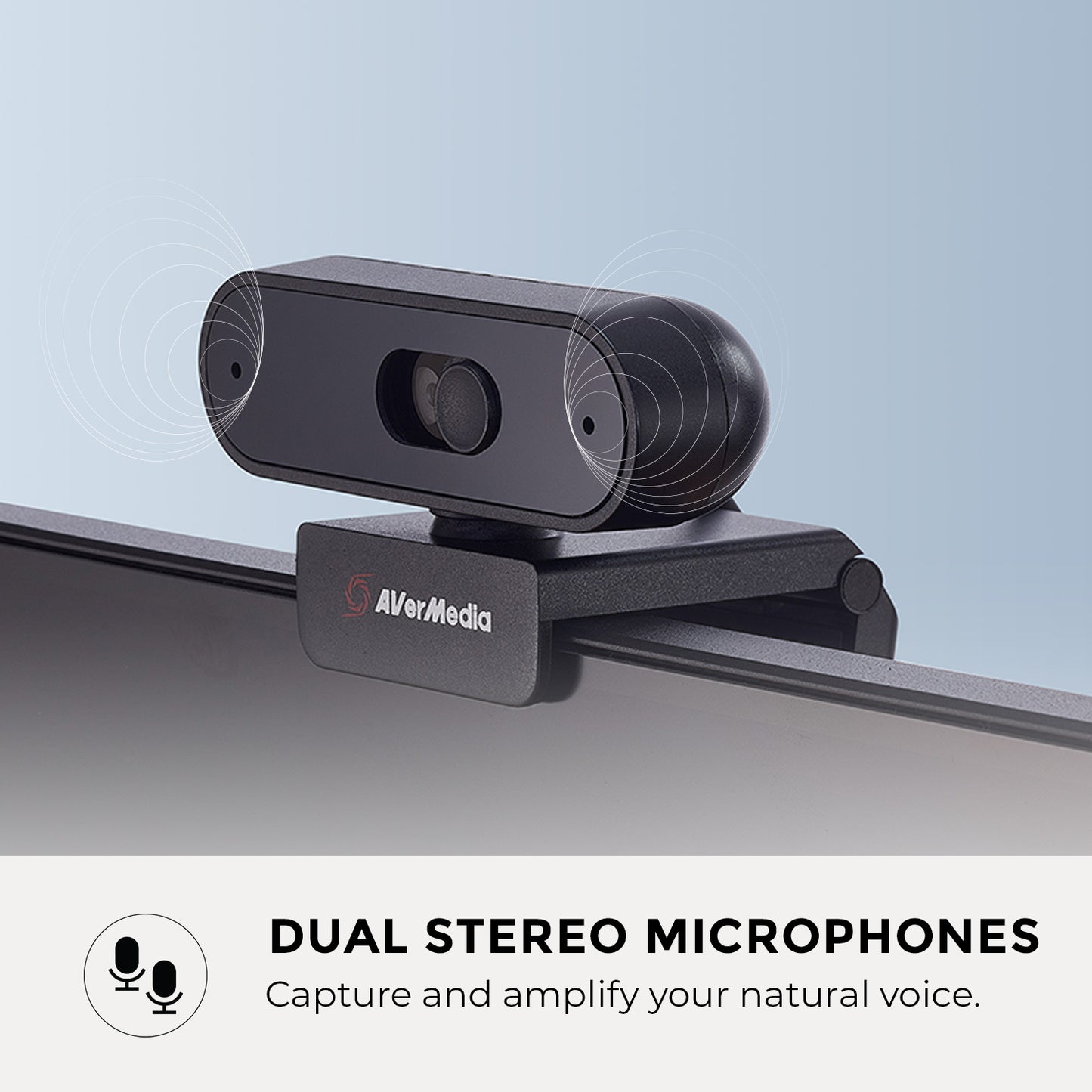 1080p30 webcam with 2 stereo microphones